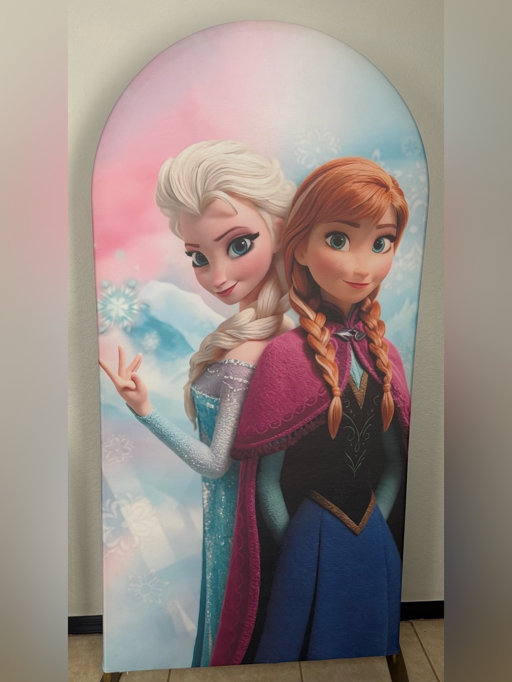 Frozen Arch Backdrop Cover (READ DESCRIPTION)